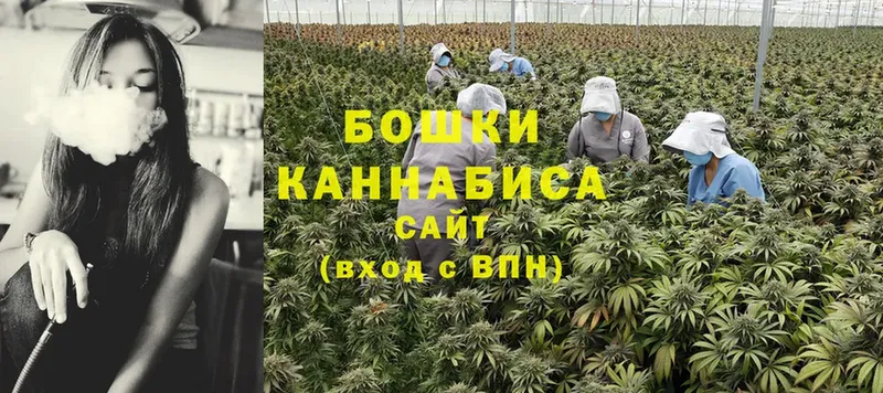 Бошки марихуана Bruce Banner  Арск 